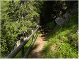 San Martino - Rifugio Malga Pala